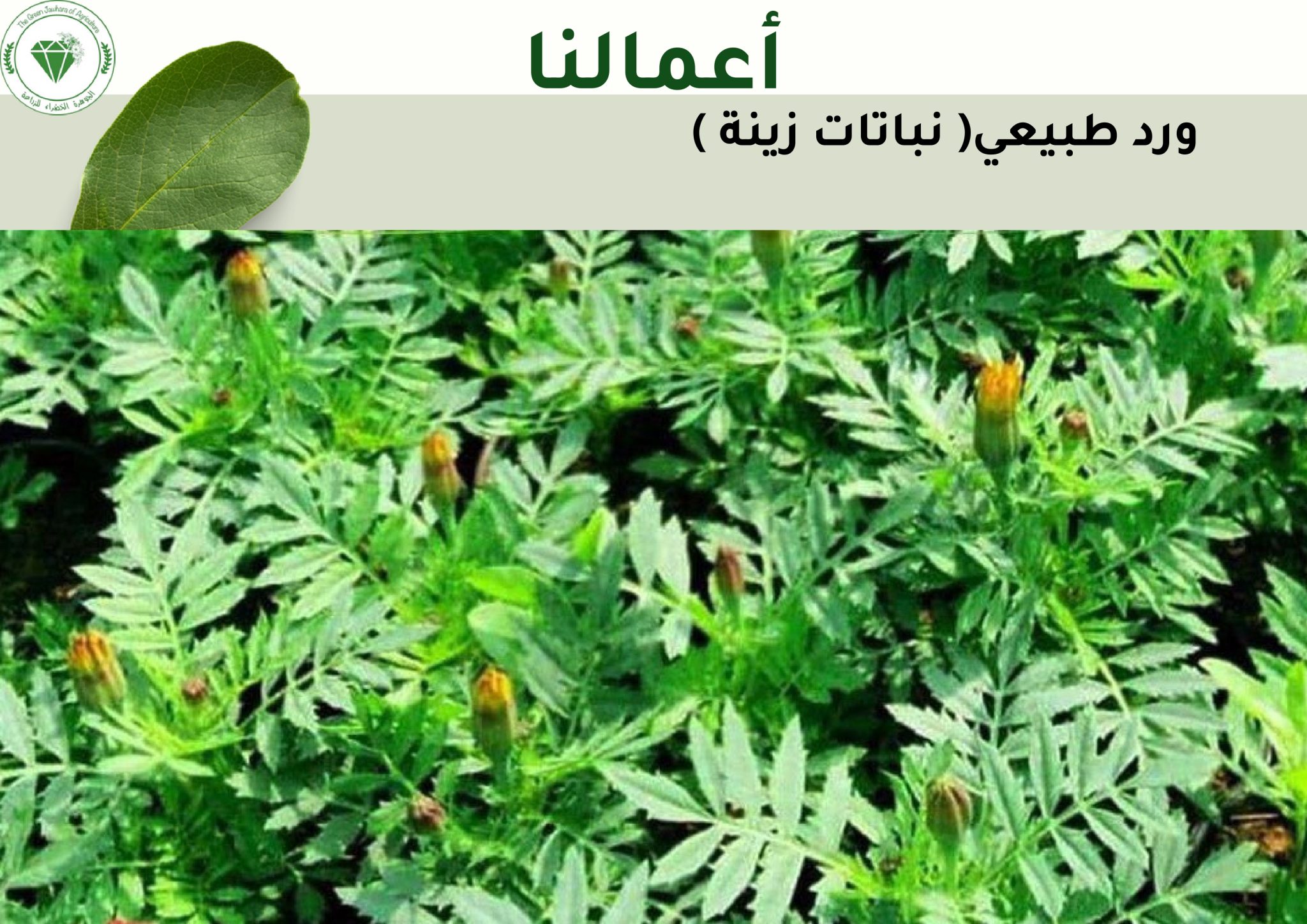 DOC-20250409-WA0009..pdf (2)_page-0041