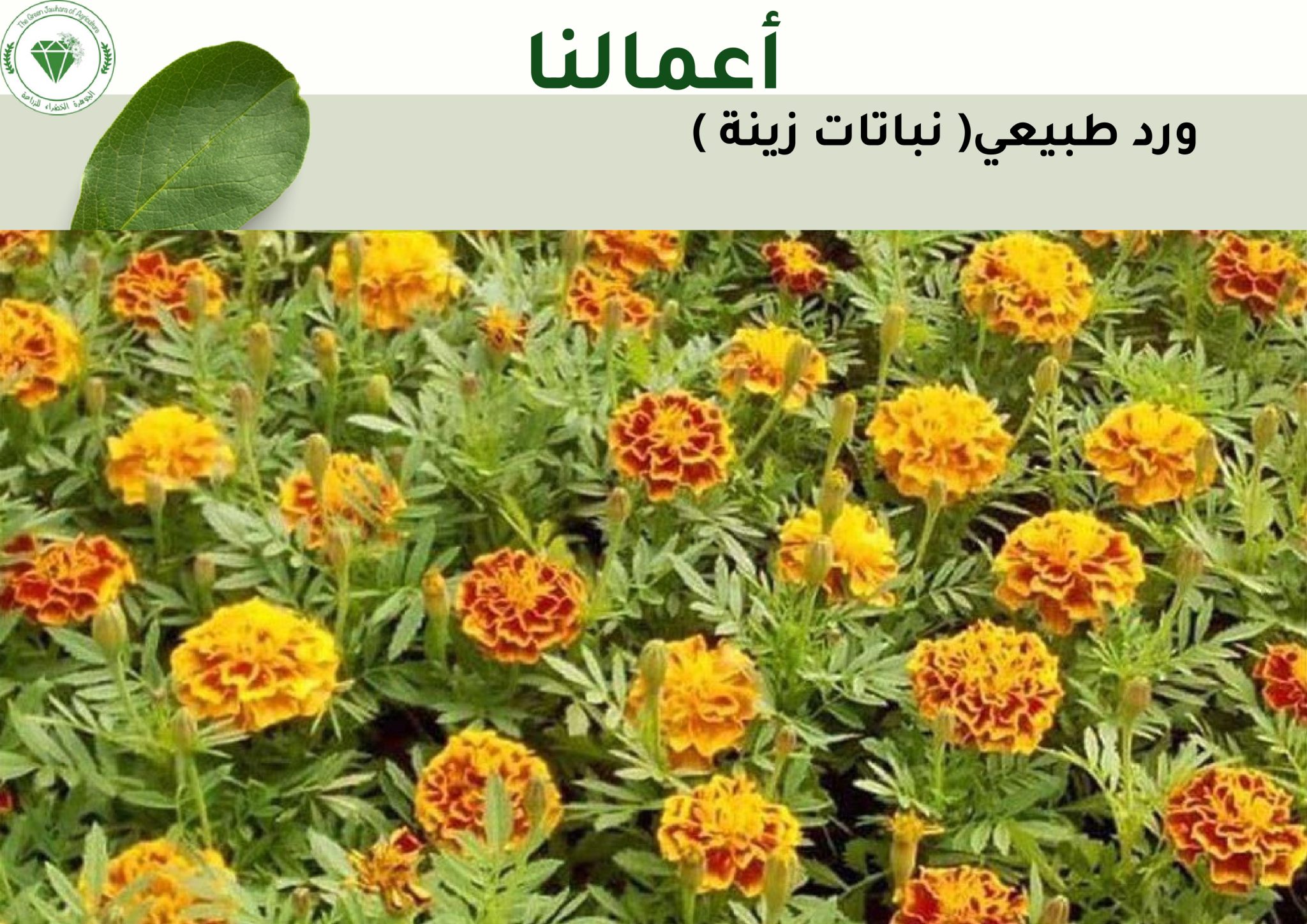 DOC-20250409-WA0009..pdf (2)_page-0042