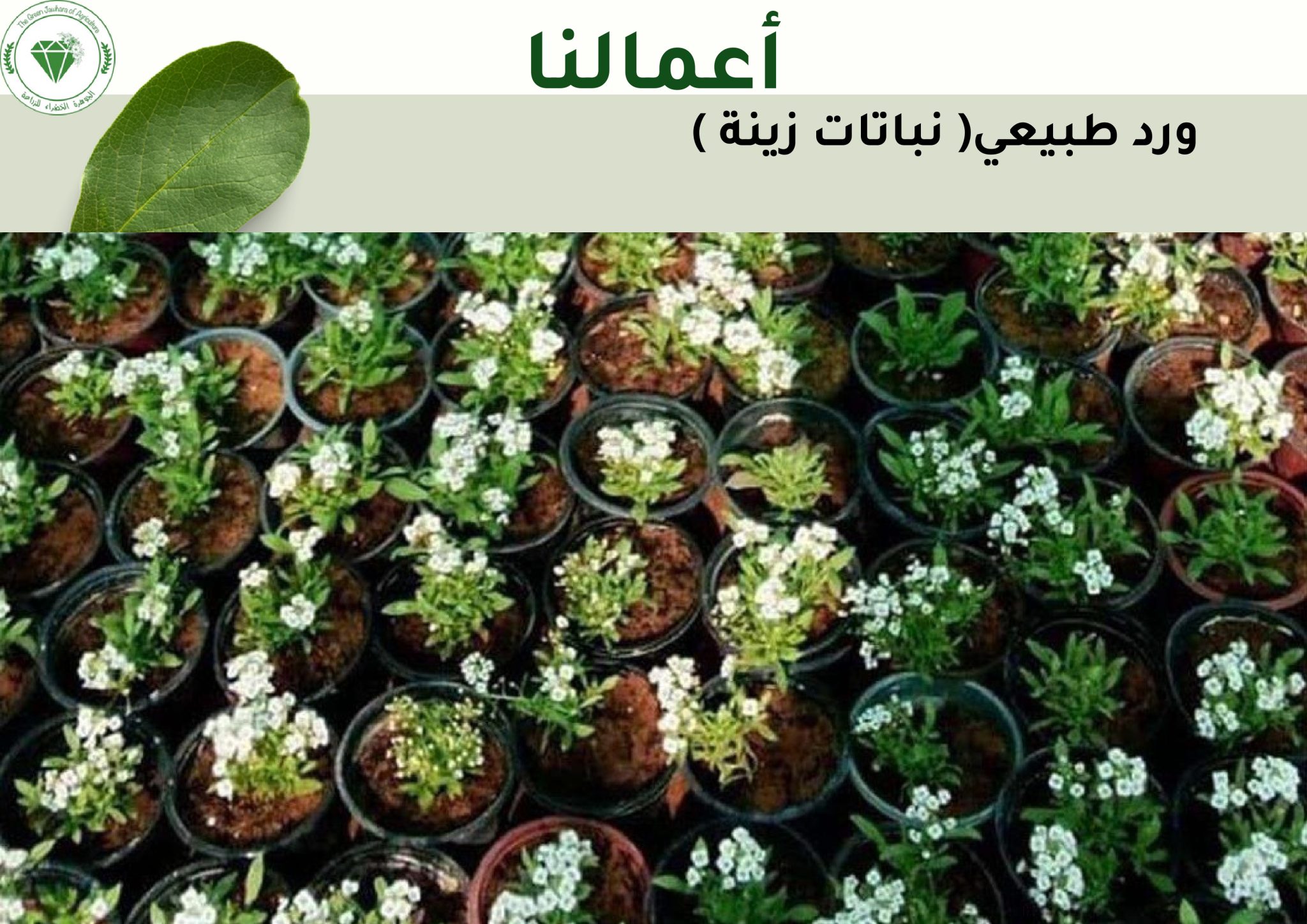 DOC-20250409-WA0009..pdf (2)_page-0043